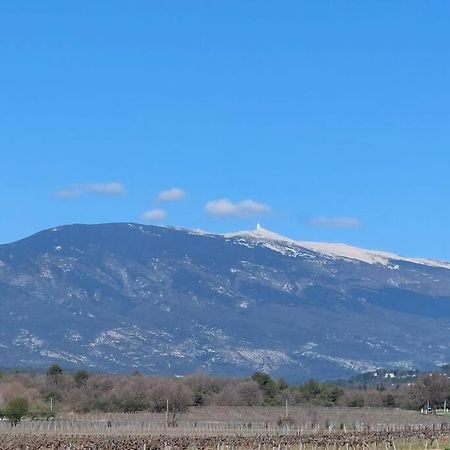 Mon Ventoux Villa Modene Exteriör bild